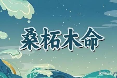 桑拓木命的人：独特人生与发展方向探析