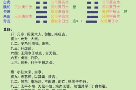 壬寅乙巳丙子壬辰命理详解：揭开心灵奥秘与命运的规律