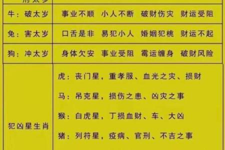 破财命格：如何化解财运障碍，转运增财？