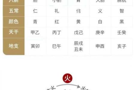 如何查命理五行属什么？揭秘五行之道与个人命运的联系！