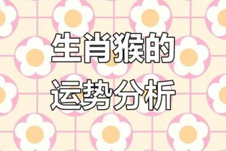 七岁属猴的命理解读：探寻聪明与灵动的魅力之路