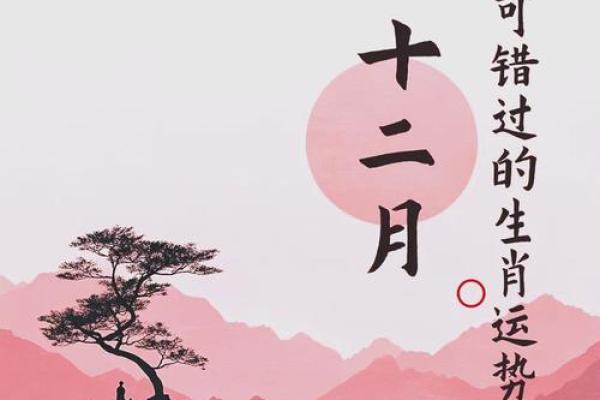 属虎人在阳历12月的命运解析：如何充分活出精彩人生？