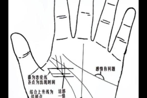 手相解析:痣多意味着什么?带你揭开命运的神秘面纱! 手相解析:痣多意味着什么?带你揭开命运的神秘面纱!