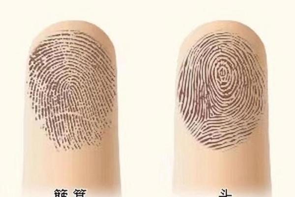 几个簸箕的命理玄机：揭开命运的神秘面纱