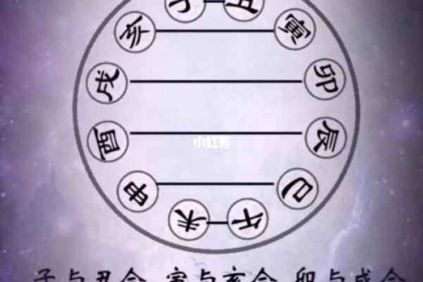 揭示命运之道:相生相克的命理奥秘探寻 揭示命运之道:相生相克的命理奥秘探寻
