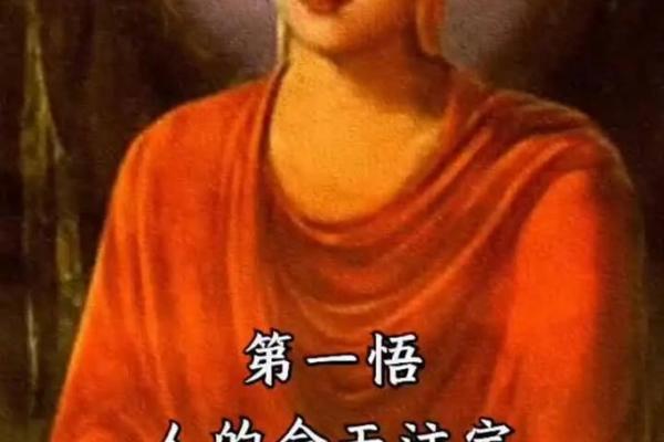 解密“贵妃命”:命理中的独特魅力与人生之路 解密“贵妃命”:命理中的独特魅力与人生之路