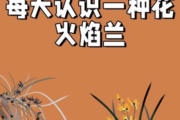 霹雳火命:火焰之中,焕发生命的力量与热情 霹雳火命:火焰之中,焕发生命的力量与热情