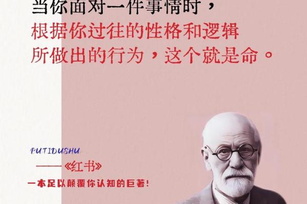 何为“我命油我不油天”？探寻命运与自我的关系