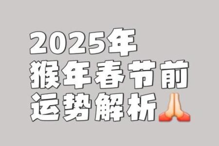 属猴的五六年命理解析：富贵、智慧与挑战的交响曲