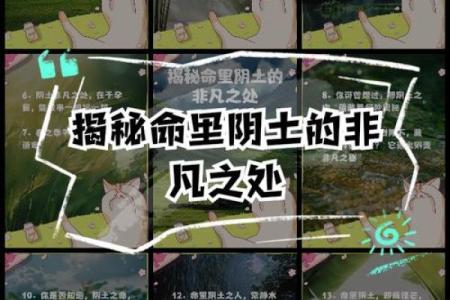 揭示命运之道：相生相克的命理奥秘探寻