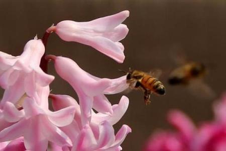 山头火命：如何点燃你生命的熊熊烈焰！