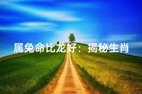 属兔龙出雾,揭示命运之谜,如何掌握人生方向? 属兔龙出雾,揭示命运之谜,如何掌握人生方向?