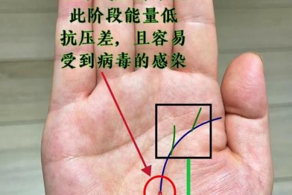 手相中的生命线:揭示命运的秘密与人生轨迹 手相中的生命线:揭示命运的秘密与人生轨迹