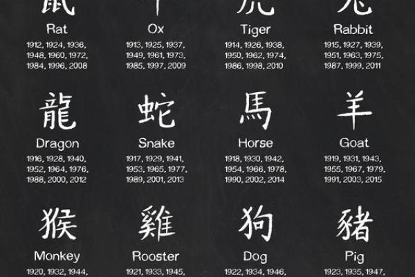 属龙人前世之谜：探寻前世命运的深邃与奇妙