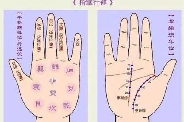 手纹三条线的奥秘—命运的密码解析