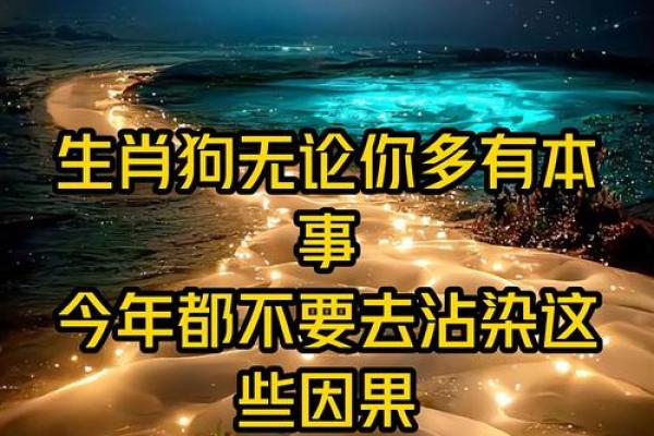 属狗的十七岁：探寻狗年命运的奥秘与未来机遇