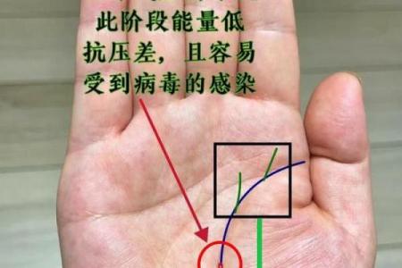 手相中的生命线：揭示命运的秘密与人生轨迹