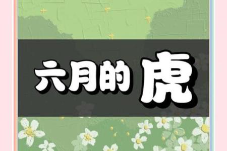 属虎24岁什么命，人生运势如何？一探究竟！