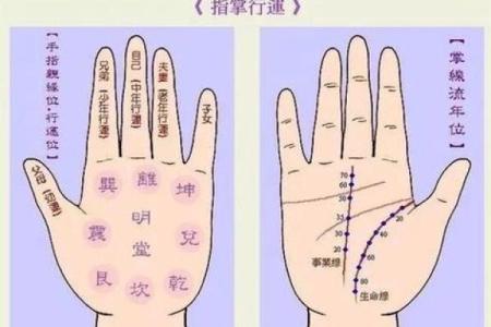 手纹三条线的奥秘—命运的密码解析