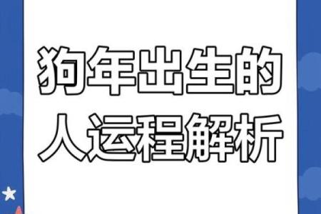 属狗的十七岁：探寻狗年命运的奥秘与未来机遇