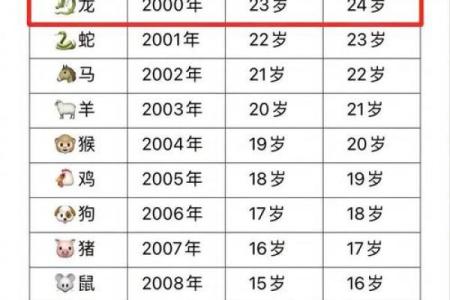 属龙人在十二月份的命运与运势分析