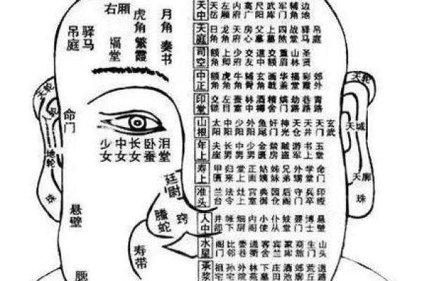 男人嘴唇厚有横纹的命运解读：神秘相学与情感关系解析