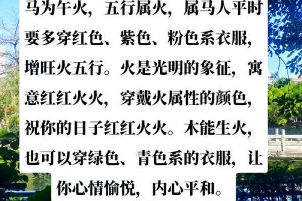 属马人的五行命理解析:探寻命运中的精彩篇章 属马人的五行命理解析:探寻命运中的精彩篇章