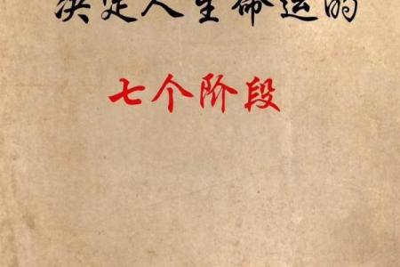 从不同的视角看人生：位置决定命运的智慧与启示