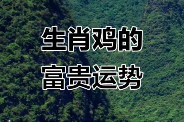 属鸡人2020年财富与幸福的命理解析，发掘潜力迎接未来！
