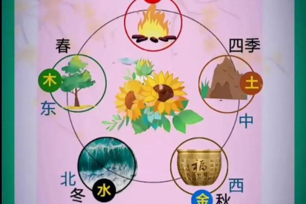 属鼠的人生与五行:金木水火的命运之旅 属鼠的人生与五行:金木水火的命运之旅