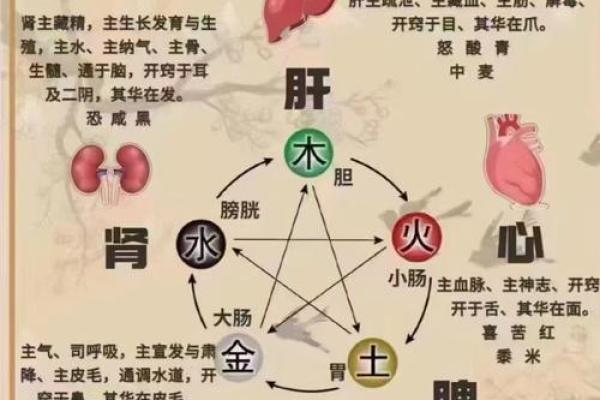 揭秘五行命理：火命、属水命与属木命的奥秘与影响