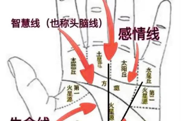 揭示手相的秘密:如何通过手相识别潜在的创业命盘 揭示手相的秘密:如何通过手相识别潜在的创业命盘