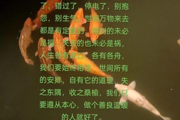 命里有时终须有,命里无时莫强求——人生的无奈与智慧 命里有时终须有,命里无时莫强求——人生的无奈与智慧