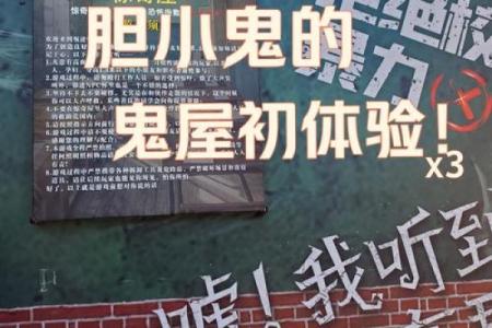 揭开五鬼入命虫的神秘面纱：缘何它在生活中悄然成形？