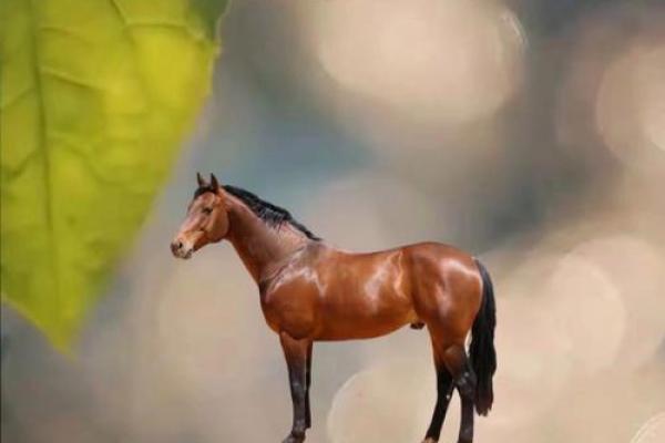 属马二月出生的人命运分析：事业、爱情与财运的全面解析