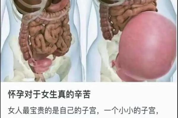 揭秘女性生男孩的命局,探讨命理与生育的奥秘 揭秘女性生男孩的命局,探讨命理与生育的奥秘