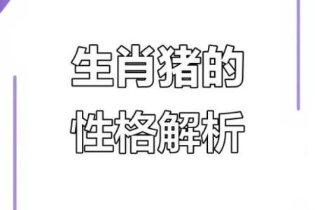 属猪人士的命格解析：3点出生的独特命运揭示
