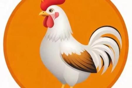 木鸡之命：探寻命格背后的奥秘与智慧