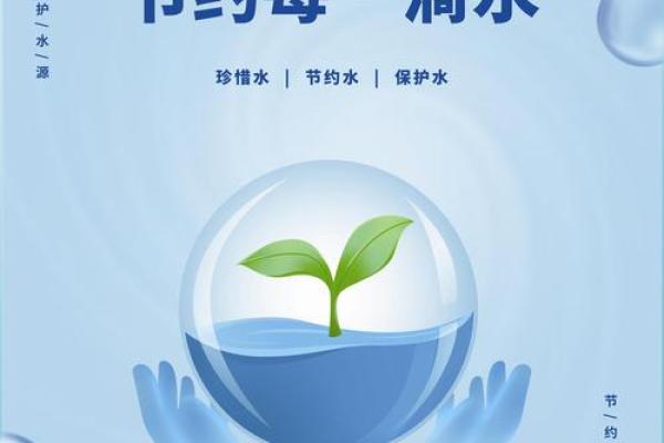 泉中水命:灵动如泉的生命之源 泉中水命:灵动如泉的生命之源