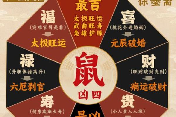 2023年生肖鼠的命理解析:探索财富与健康的秘密 2023年生肖鼠的命理解析:探索财富与健康的秘密