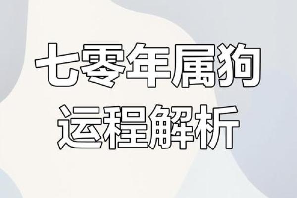 三月初七属狗女孩的命运解析与生活指导 三月初七属狗女孩的命运解析与生活指导