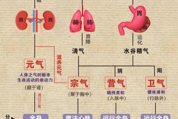 气功与命理五行的奇妙关联:调和身心与命运 气功与命理五行的奇妙关联:调和身心与命运