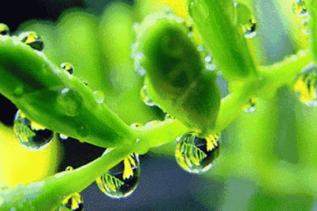 泉中水命：灵动如泉的生命之源