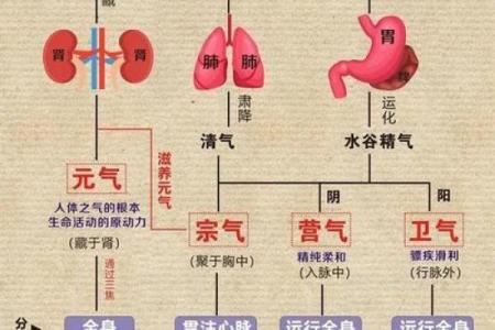 气功与命理五行的奇妙关联：调和身心与命运