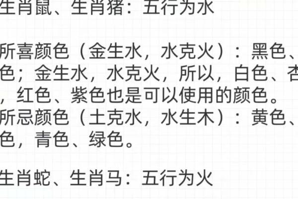 生肖鼠的五行命格详解：如何解读和运用这一智慧