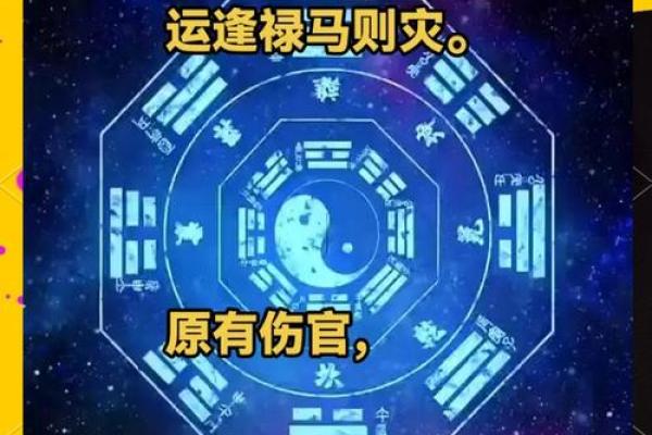 女命走财官运:探秘命理中的财富与权力之道 女命走财官运:探秘命理中的财富与权力之道