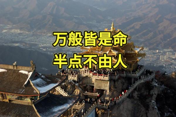 根据时辰出生的人，谁是命中注定的高贵之者？