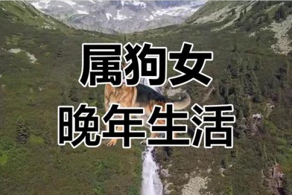 三月初七属狗女孩的命运解析:性格、事业与生活的秘密 三月初七属狗女孩的命运解析:性格、事业与生活的秘密