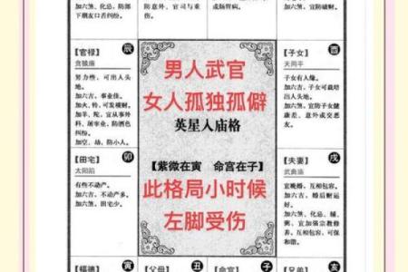 揭秘三命五命：加什么属性可以改变人生轨迹？