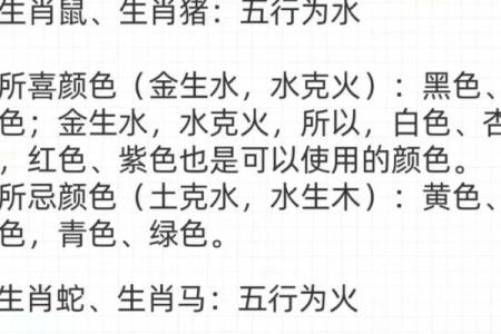 生肖鼠的五行命格详解：如何解读和运用这一智慧